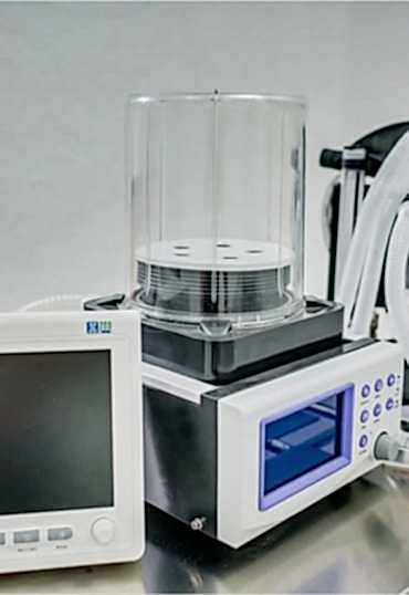 Реанимация домашних животных