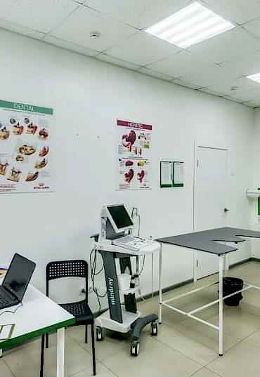 Реанимация домашних животных