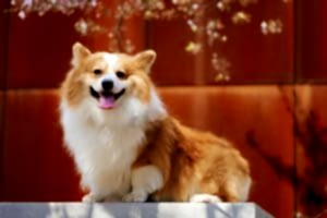 Уход после стерилизации